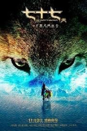 77 дней (2017)