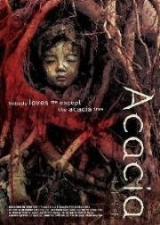 Акация (Akasia (Acacia)) (2003)