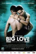 Большая любовь (Big Love) 2012