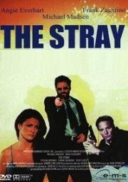 Бродяга (The Stray) (2000)