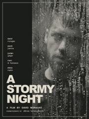 Бурная ночь (A Stormy Night) (2020)
