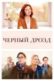 Чёрный дрозд (Blackbird) (2019)