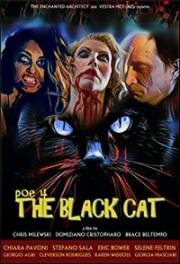 Чёрный кот (POE 4: The Black Cat) (2017)