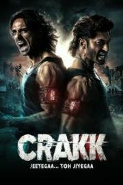 Чокнутый (Crakk: Jeetega... Toh Jiyegaa) (2024)
