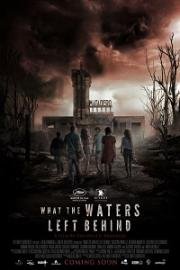 Что воды оставили позади (Los Olvidados) (2017)