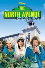 Доброволицы Северной Авеню (The North Avenue Irregulars) (1979)