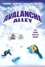 Долина лавин (Avalanche Alley) (2001)