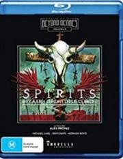 Духи воздуха и облачные гремлины (Spirits of the Air, Gremlins of the Clouds) 1989