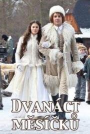 Двенадцать месяцев (Dvanact mesicku) (2012)