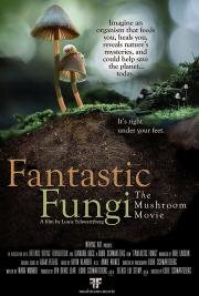 Фантастические грибы (Fantastic Fungi) (2019)