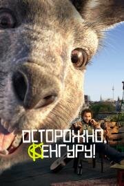 Осторожно, Кенгуру! (Die Känguru-Chroniken) (2020)