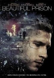 Контроль разума (Beautiful Prison) (2014)