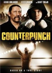 Контрудар (Counterpunch) 2013