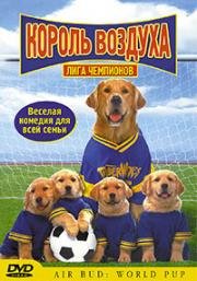 Король воздуха: лига чемпионов (Air Bud: World Pup)