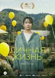 Личная жизнь (Love Life) (2022)