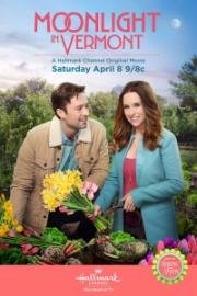 Лунный свет в Вермонте (Moonlight in Vermont) (2017)