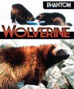 National Geographic: Неуловимая росомаха (Phantom wolverine) 2010