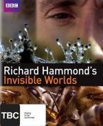 BBC: Невидимые миры (Richard Hammond's Invisible Worlds) (2010)