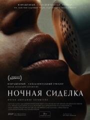 Ночная сиделка (Night Nurse) (2026)