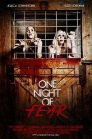 Одна ночь страха (One Night of Fear) (2016)