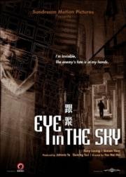 Око небесное (Eye in the Sky (Gun chung)) (2007)