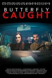 Поймать Бабочку (Butterfly Caught) (2017)