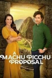 Предложение в Мачу-Пикчу (A Machu Picchu Proposal) (2025)