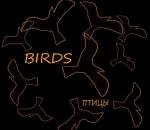Птицы (Birds)