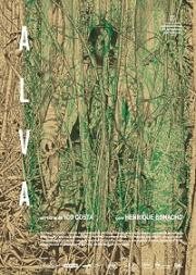 Рассвет (Alva)