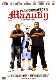 Разыскивается в Малибу (Malibu's Most Wanted) (2003)