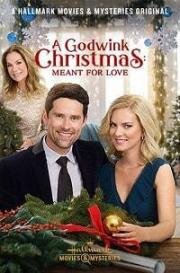 Рождественская надежда: Суждено полюбить (A Godwink Christmas: Meant for Love) (2019)
