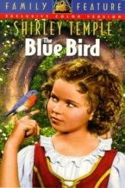 Синяя птица (The Blue Bird)