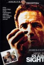 Скрой у всех на виду (Hide in Plain Sight) (1980)