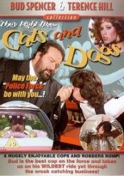 Собаки и кошки (Cane e gatto) (1983)