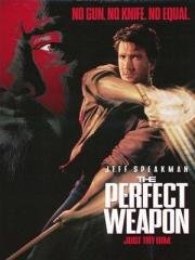 Совершенное оружие (The Perfect Weapon) (1991)
