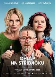 Совместная опека (Chlap na strídacku) (2020)