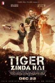 Тигр жив (Tiger Zinda Hai) (2017)