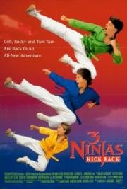 Три ниндзя наносят ответный удар (3 Ninjas Kick Back) (1994)