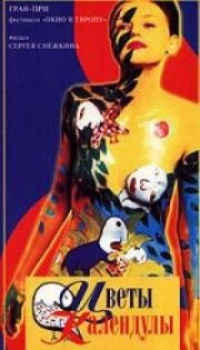 Цветы календулы 1998