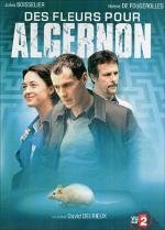 Цветы для Алджернона (Des Fleurs Pour Algernon) (2006)
