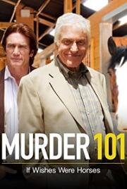Убийство 101: Кабы сивому коню черную гриву (Murder 101: If Wishes Were Horses) 2007