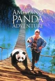 Удивительное приключение панды (The Amazing Panda Adventure) (1995)
