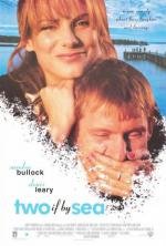 Украденные сердца (Two If by Sea) (1996)