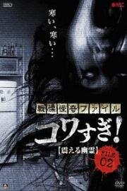 Ужасающие материалы, файл 2: Дрожащий призрак (Senritsu Kaiki File Kowasugi File 02: Shivering Ghost) (2012)
