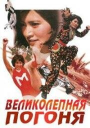 Великолепная погоня (Karei-naru tsuiseki) (1975)