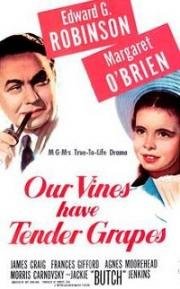 Виноградники наши в цвете (У нас растет нежный виноград) (Our Vines Have Tender Grapes) 1945