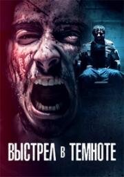 Выстрел в темноте (Shot in the Dark) 2021