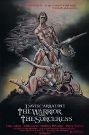 Воин и колдунья (The Warrior and the Sorceress) (1984)
