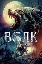 Волк (2024)