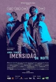 Впереди целая тёмная ночь (Ainda Temos a Imensidão da Noite) (2019)